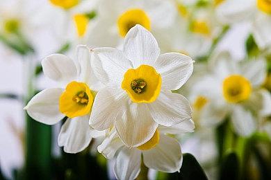 2023蒸汽平台鉴赏家大会 阵容亮点前瞻